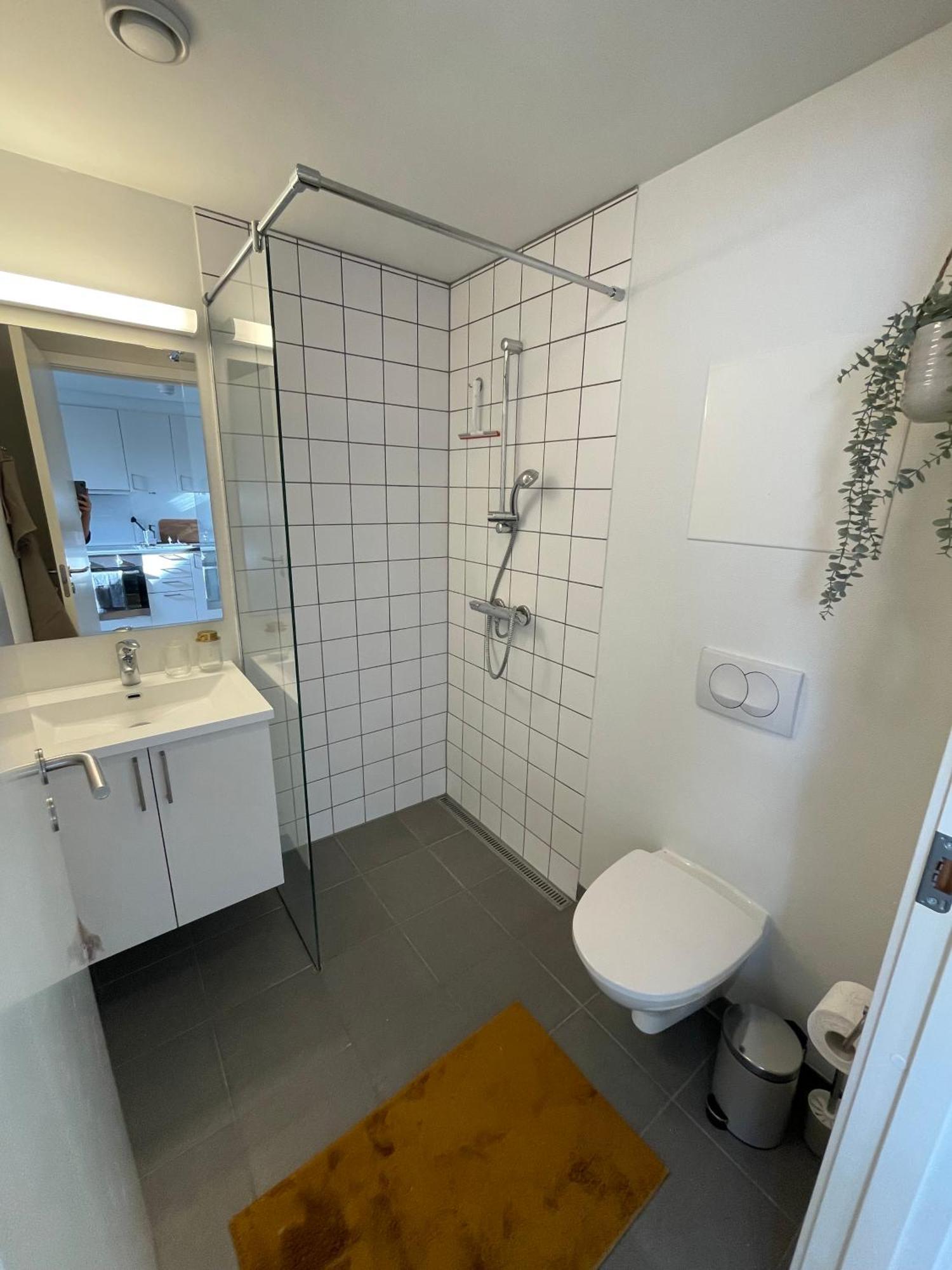 Central Lejlighed I Odense C Apartment Exterior photo